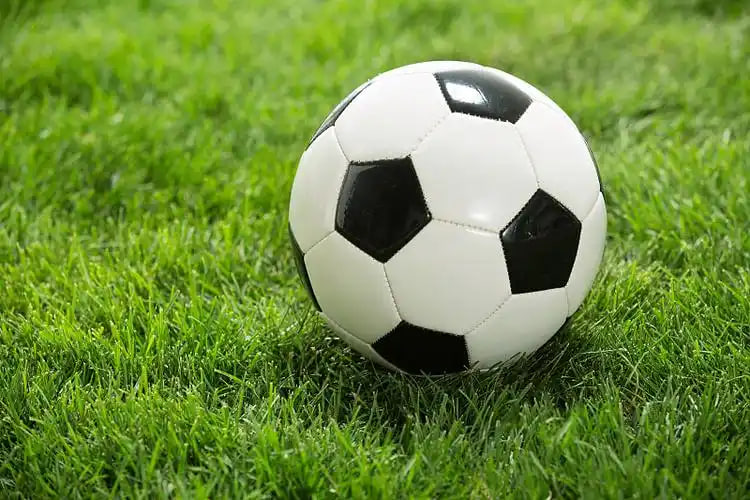 球探篮球比分速报常见问题解答